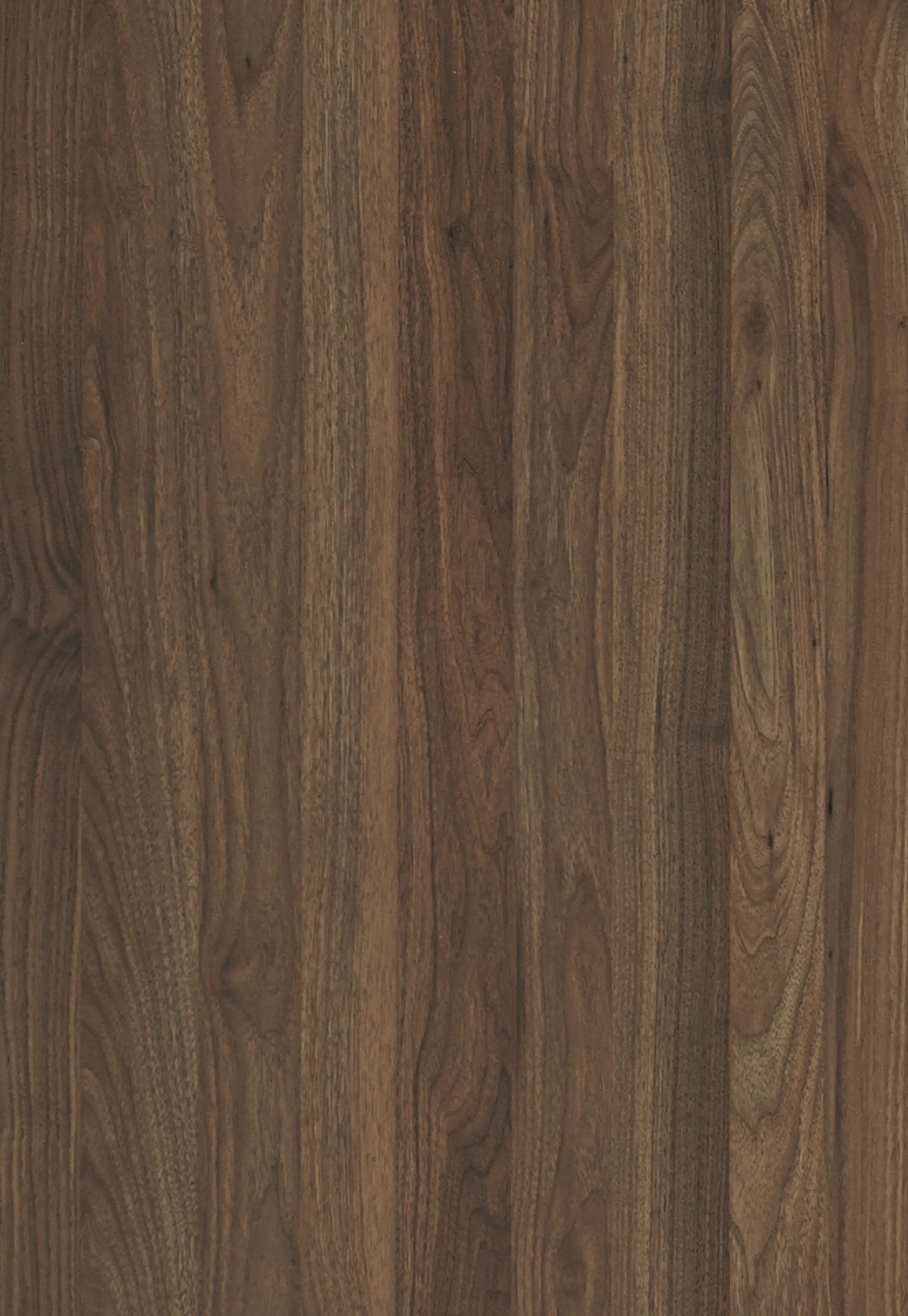 Çamsan Ordu Latin Ceviz MDFLAM